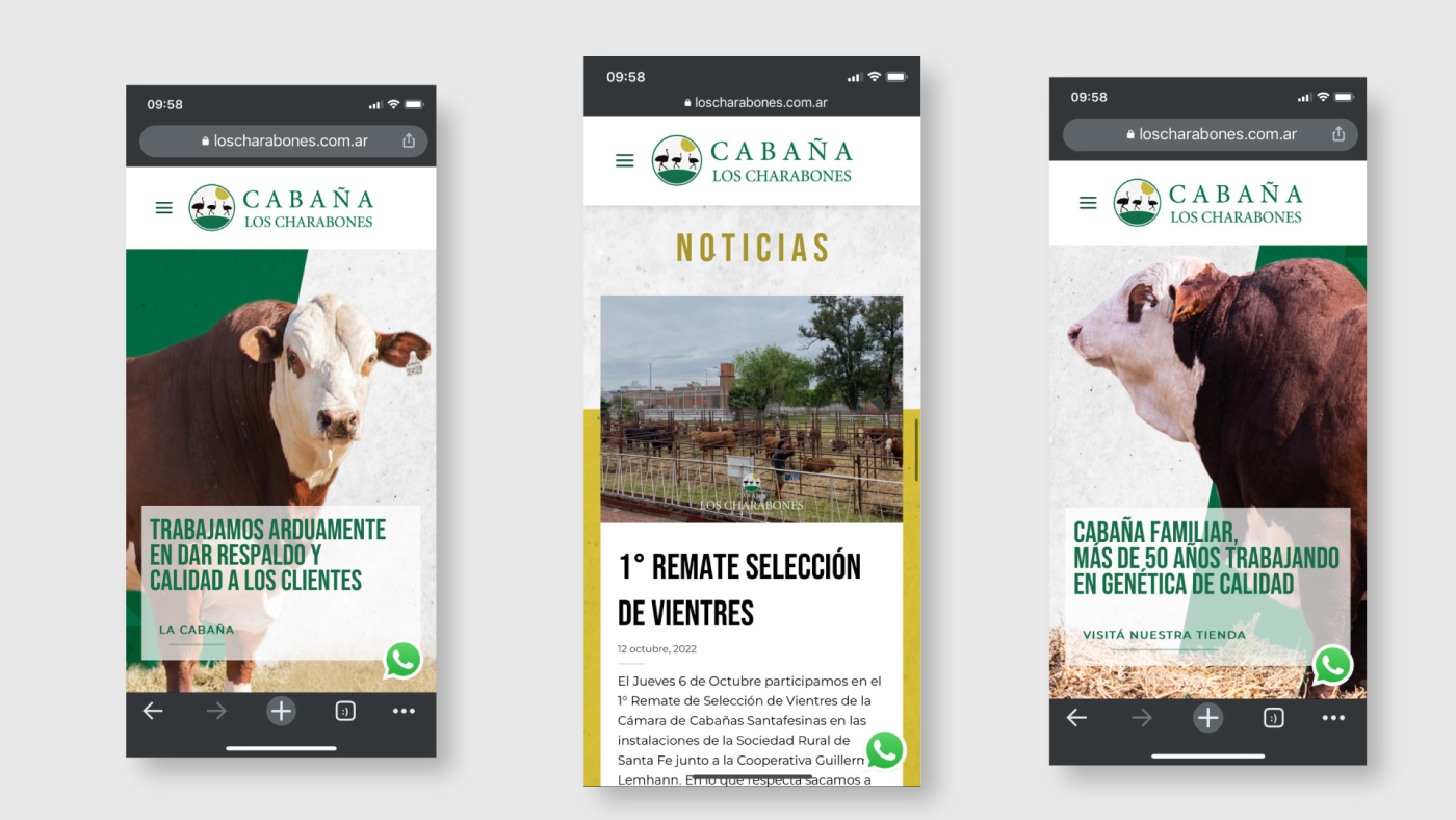 Tres Ideas